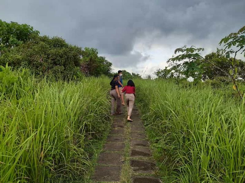 Ubud : Campuhan Ridge Walk, Tegallalang Rice Terrace & More