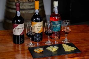Vila Nova de Gaia : Dégustation de vin de Porto et accords avec des fromages
