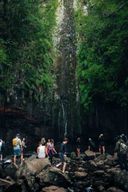 Rabaçal : transfert pour la randonnée des 25 fontaines et Risco Levada