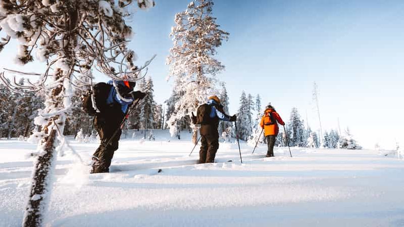Rovaniemi : safari de ski de randonnée en Laponie