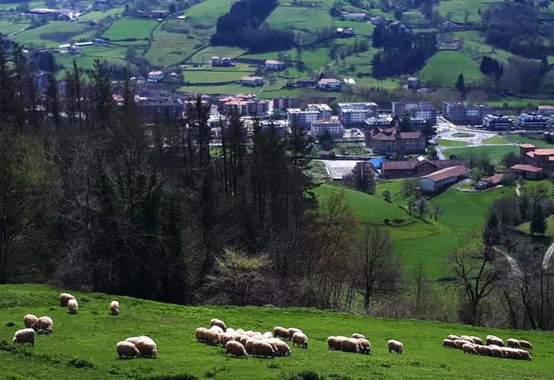 Découvrez l'art du fromage Idiazabal au Pays basque