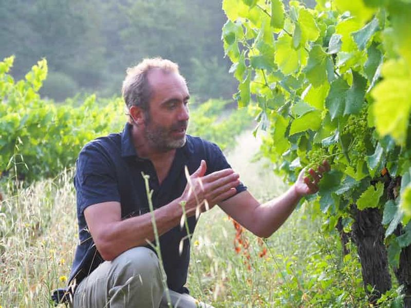 Luberon: visite de cave et dégustation de vin commentés par un oenologue