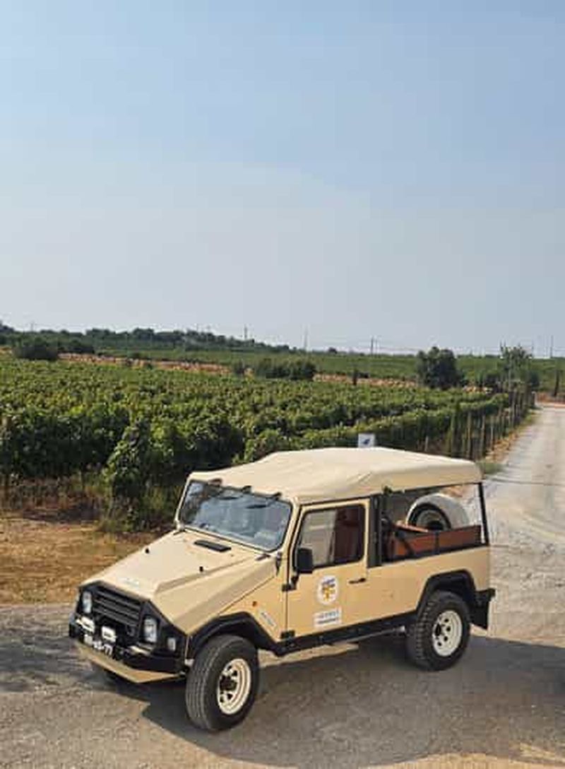 Tavira, Santa Luzia et dégustation de vins