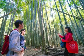 Kyoto : Randonnée cachée de 3 heures au sanctuaire de Fushimi Inari
