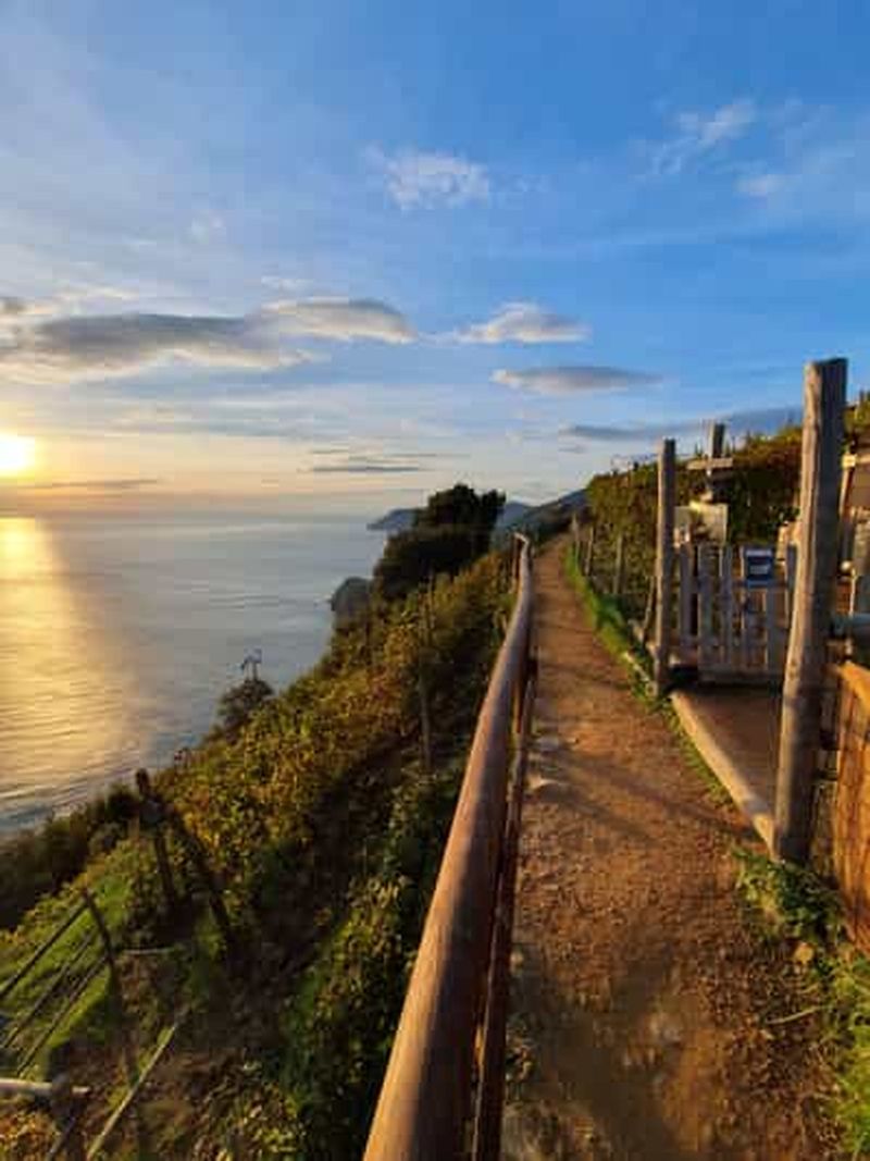 Randonnée avec Gaia de Corniglia à Manarola, accompagnée d'une dégustation dans le vignoble.