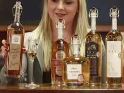 Dégustation de grappa dans le centre-ville de Venise