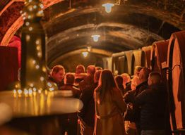 Maribor : Visite de la cave à vin Vinag avec dégustation de vins et collations
