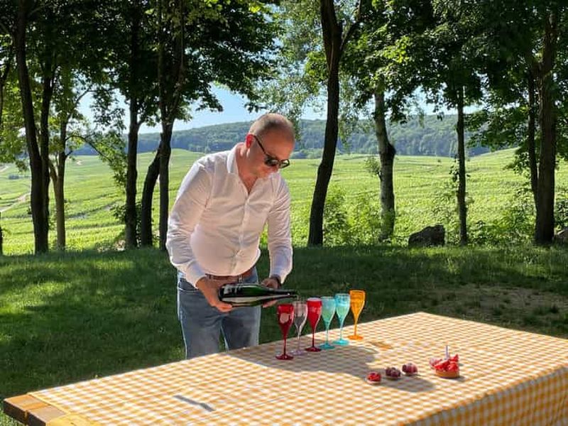 Paris : Excursion privée à Epernay avec dégustations dans les vignobles de Champagne