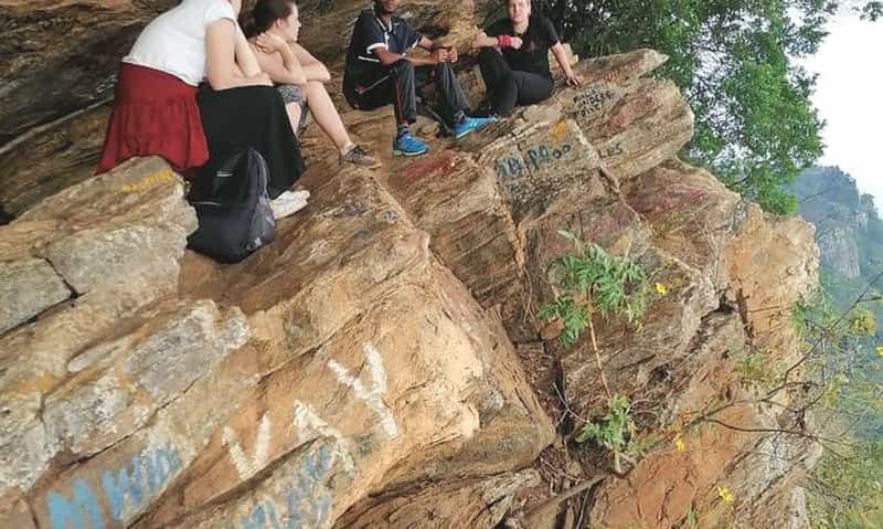Excursion d'une journée à la forêt tropicale de Magamba et à la vue d'Irente - Ville de Tanga