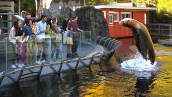 Aquarium de Vancouver : billet coupe-file