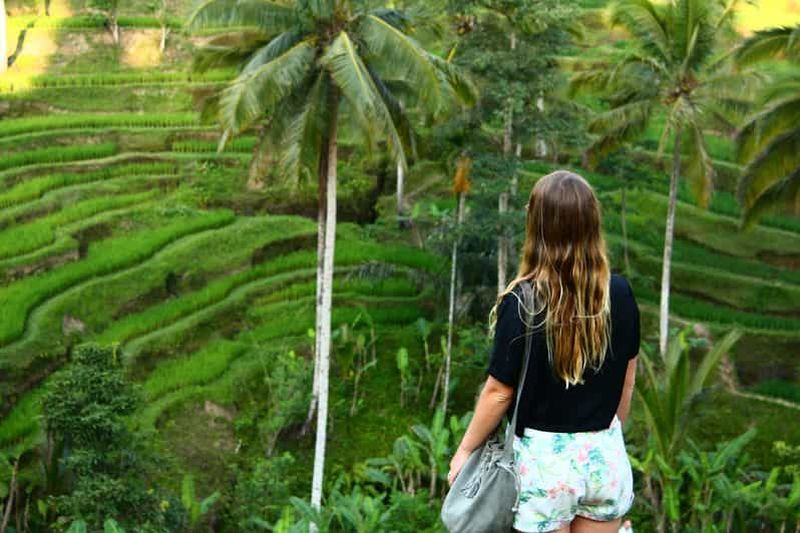 Bali : Excursion d'une journée à Ubud (rizières en terrasses, temples et volcan)