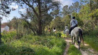Algarve : balade au coucher du soleil à Aljezur