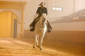 Jerez de la Frontera : la danse des chevaux andalous