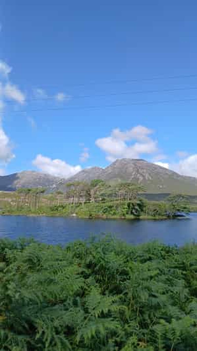 Depuis Galway : La scène musicale et les pubs de la ville et les randonnées dans le Connemara