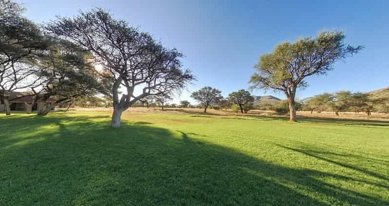 Depuis Windhoek : Excursion d'une journée à Okapuka Safari Lodge