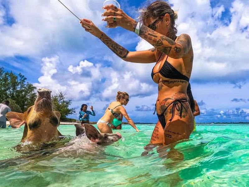 PLAGE DE COCHONS D'ATHOL ISLAND EXPRESS 1.5HR BATEAU-TAXI NASSAU