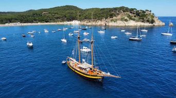 Depuis Palamos : Excursion pittoresque en bateau jusqu'à Calella de Palafrugell