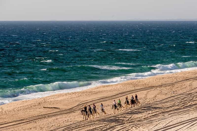 Melides : Équitation sur la plage avec dégustation de vin