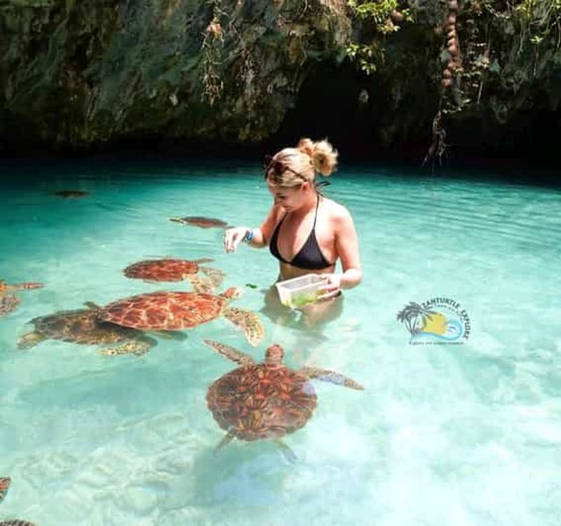 Zanzibar : culture masaï, forêt de Jozani et tortues de la grotte de Salaam