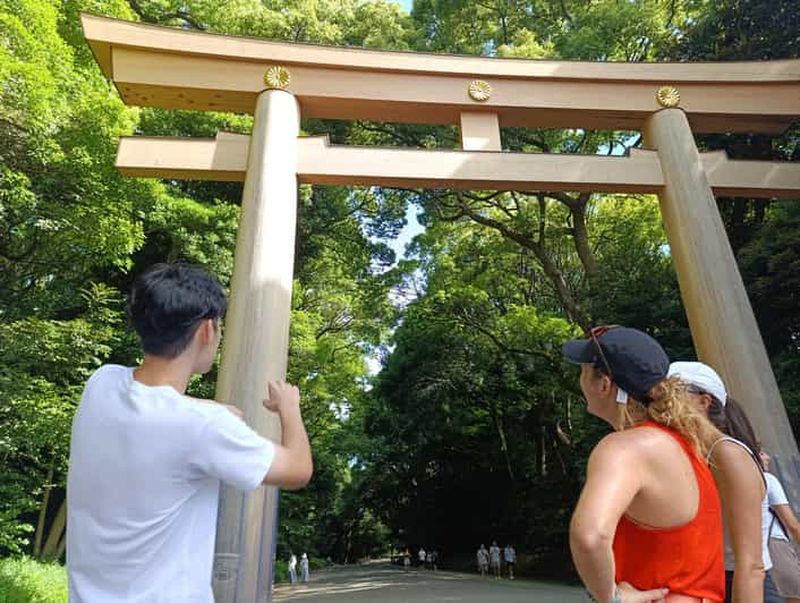 Tokyo : visite à pied du sanctuaire Meiji Jingu et de la culture shintoïste