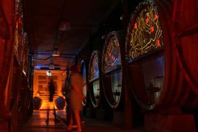 Dégustation de vin guidée et visite immersive de cave en Alsace