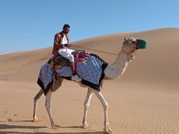 Liwa : aventure traditionnelle de balade à dos de chameau dans le désert