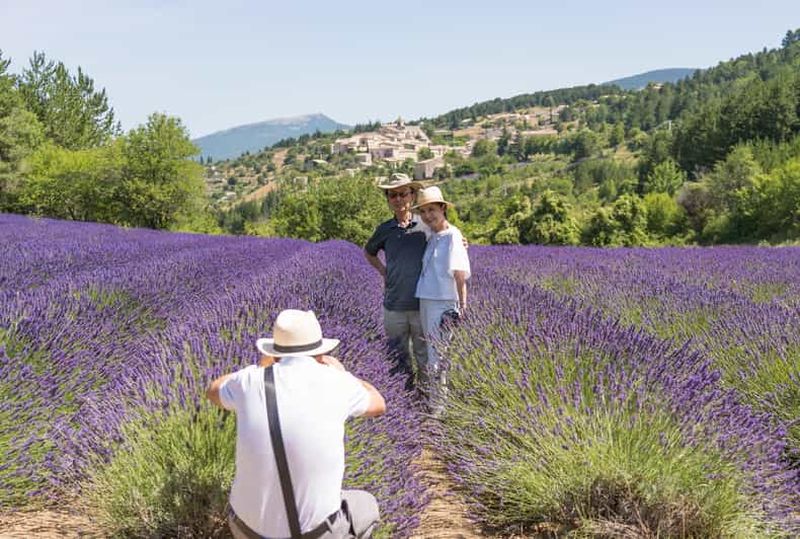 Au départ d'Avignon : visite d'une demi-journée du Luberon à la découverte de la lavande