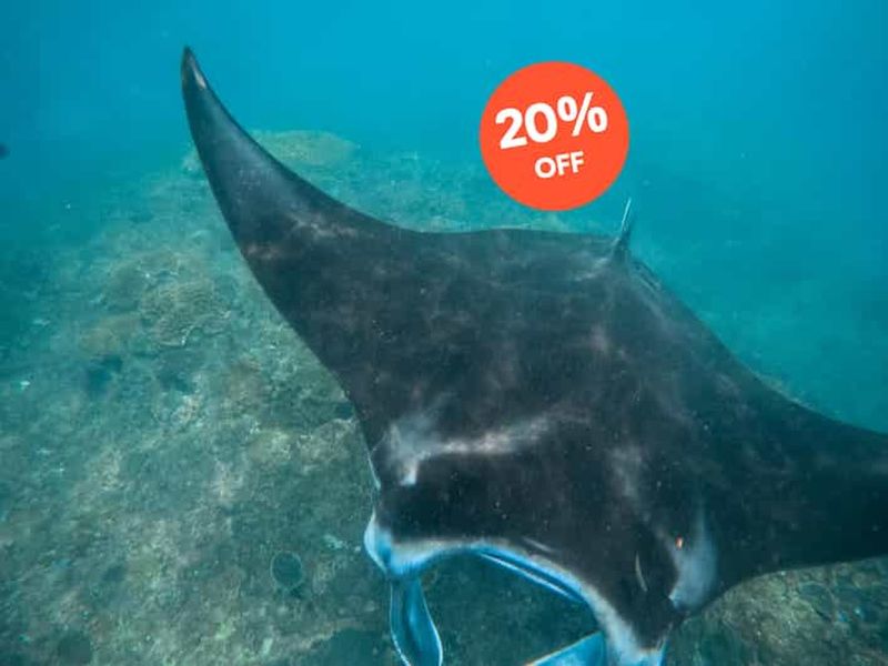 Nusa Penida : Plongée avec tuba à 3 sites avec GoPro et excursion à l'ouest