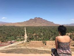 Excursion d'une journée au départ de Ouarzazate vers la vallée du Drâa et les dunes de Tinfou
