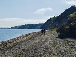 Safari huîtres et randonnée à Hanklit dans le Limfjord