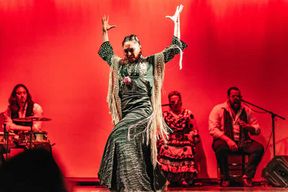 Barcelone : Spectacle de flamenco au théâtre