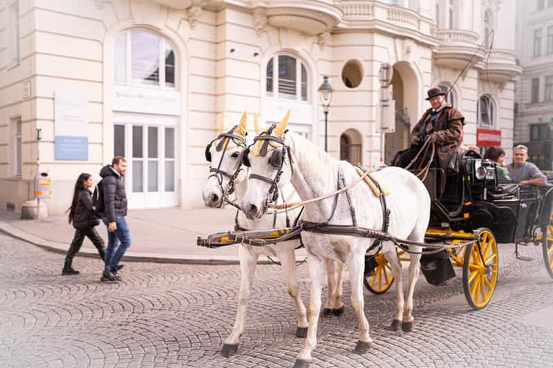 Vienne : Visite guidée de l'héritage roumain et des marchés de Noël