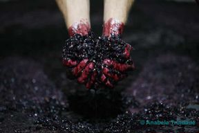 Un voyage à travers les 