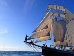 Baie des Îles : Excursion d'une journée à bord d'un grand voilier