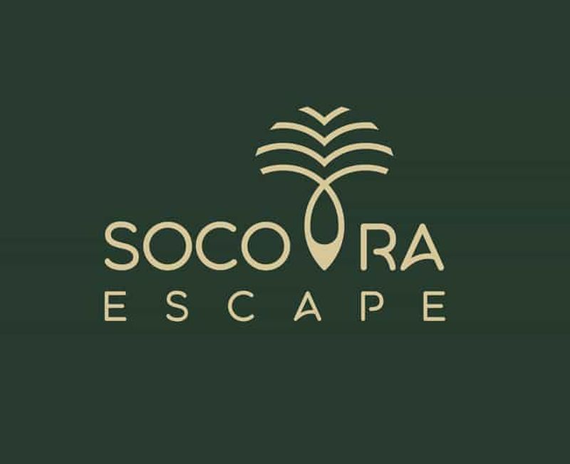 Mori : Circuit de 8 jours en camping sur l'île de Socotra