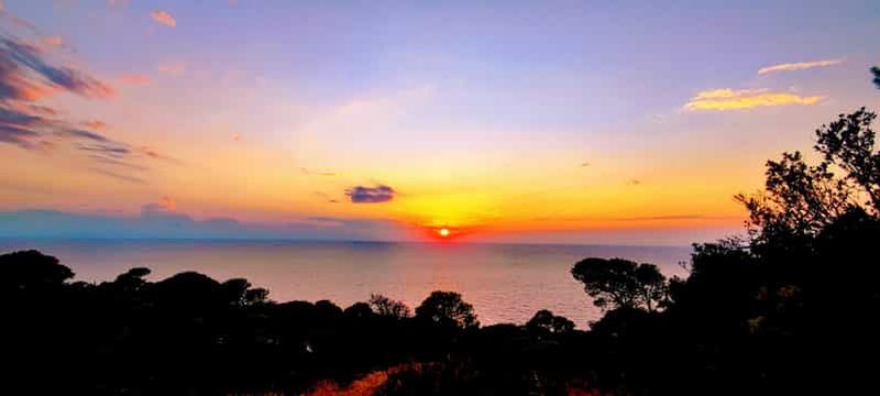 Depuis Vieste : Ferry aller-retour pour les îles Tremiti
