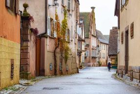 Visite Trésors d'Alsace :Obernai ,Barr ,Mittelbergheim et Mont Saint Odile