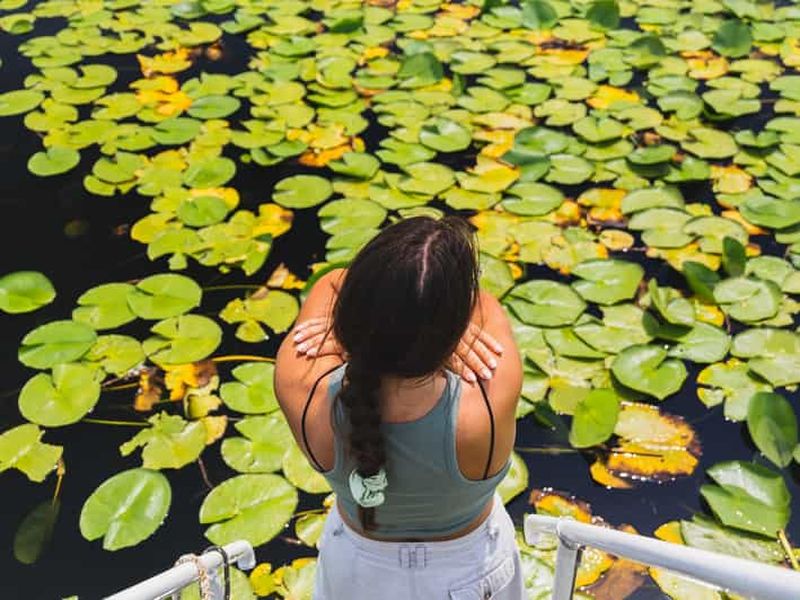 Lac Skadar : Visitez la Venise monténégrine