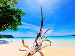 Ko Lanta : Koh Rok et Koh Haa : excursion en bateau à moteur pour la plongée en apnée