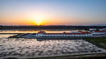 Dégustation de vins de Herdade da Comporta