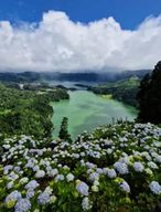 São Miguel : visite de Sete Cidades et Lagoa do Fogo avec déjeuner