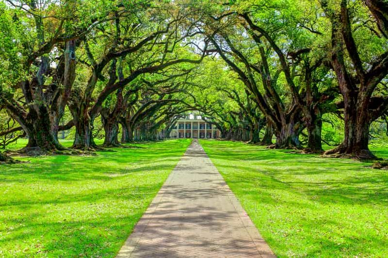 Visite d'une demi-journée de la Louisiane Plantation Country