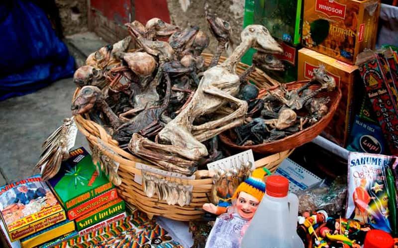 Lima : visite alternative de Gamarra et du Mercado de las Brujas (marché des sorcières)