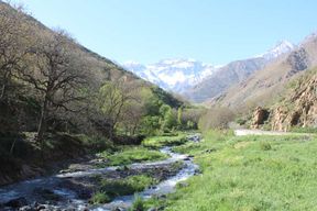 Marrakech : visite d'une journée dans le Haut Atlas et chez les Berbères