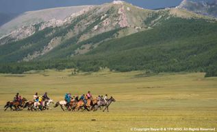 Parc national de Terelj : Circuit avec équitation et randonnée