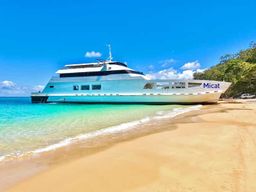 Au départ de Brisbane : excursion d'une journée sur l'île de Moreton