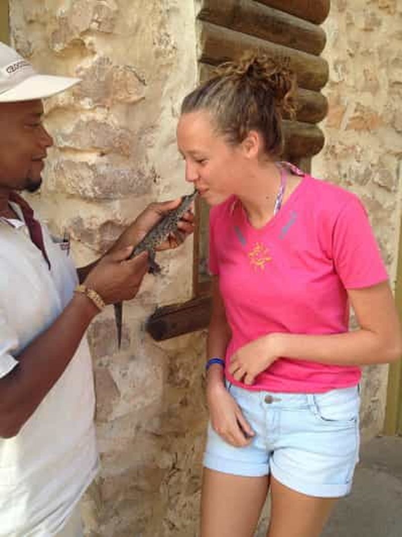 Visite guidée du marché de Midoun et du parc aux crocodiles de Djerba.