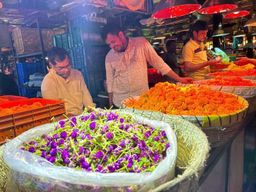 Visite matinale du marché de Mumbai : fleurs, poissons et plus encore