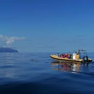 Passeios Turísticos : Excursion en bateau à Corvo