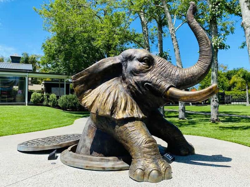 Auckland : Sculptureum Gardens and Galleries billet d'entrée